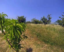 Agriturismo La Perlara a Trezzolano – VR