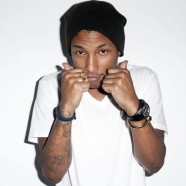 2014/2015: I CONCERTI PIÙ ATTESI