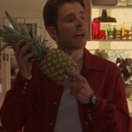 L’ANANAS DI PSYCH: UNA RICERCA LUNGA 8 STAGIONI