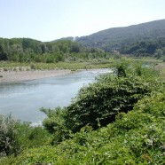 Vacanze in Piemonte: scegli un agriturismo in provincia di Torino!