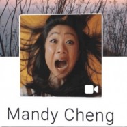 Nuovi aggiornamenti di Facebook: video come immagini profilo e pagine personali dinamiche!