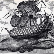 La Baleniera Essex e l’origine di Moby Dick