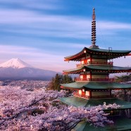 Viaggio in Giappone, alla scoperta di tesori unici